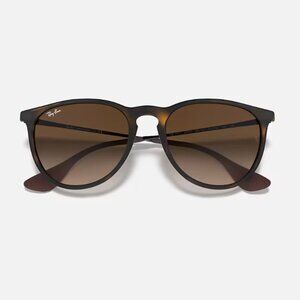 Ray-Ban Most Popular Erika Classic Sunglasses